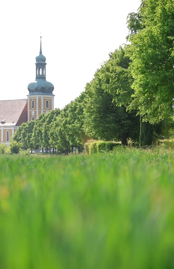 Blick auf die Wallfahrtskirche Rosenthal