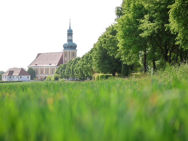 Blick auf die Wallfahrtskirche Rosenthal