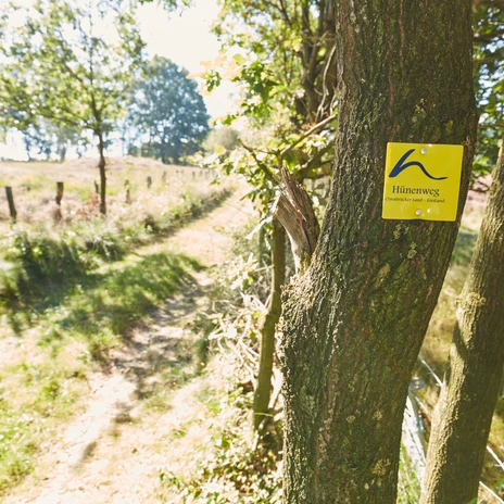 Grabhügelfeld Mansenberge bei Sögel ©Naturpark Hümmling, Marcus Gloger (191).jpg