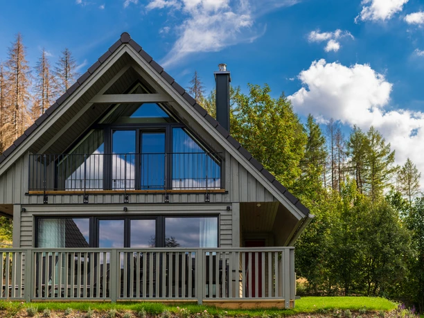 Gemütliches Ferienhaus in der Harz-Urlaubs-Alm mit großer Fensterfront, eingebettet in Bäume unter blauem Himmel.