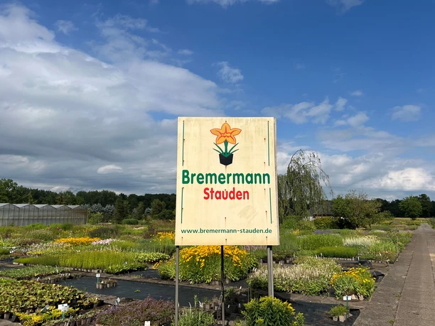 Schildbild.jpg Schild mit der Aufschrift „Bremermann Stauden“ und einer stilisierten Blume, umgeben von Pflanzenfeldern.