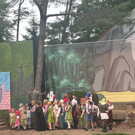 7a939efd-387e-432a-abba-e363f930dd9a.jpg Freilichtbühne mit vielen verkleideten Schauspielerinnen und Schauspielern bei einer Märchenaufführung.