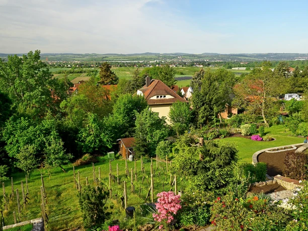 Blick in den Garten