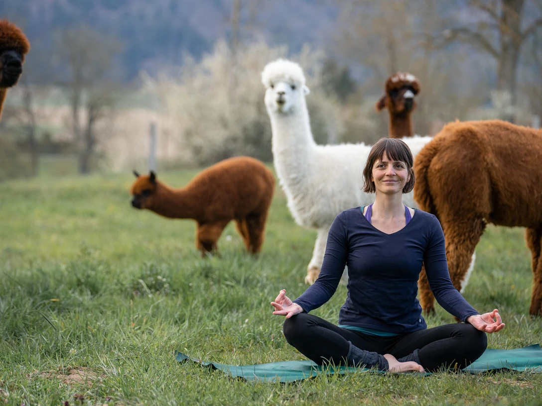 DSC04036 print Kopie