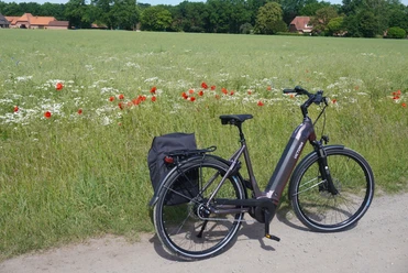 An e-bike stands on a country lane in front of a blooming meadow with poppies and a forest background.