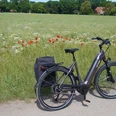 Ein E-Bike steht auf einem Feldweg vor einer blühenden Wiese mit Mohnblumen und einem Waldhintergrund.