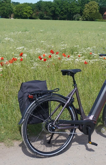 Ein E-Bike steht auf einem Feldweg vor einer blühenden Wiese mit Mohnblumen und einem Waldhintergrund.