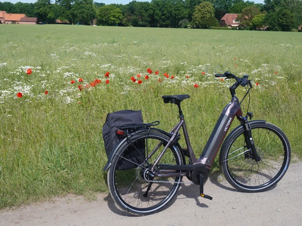 Radfahren in der Mittelweser-Region Ein E-Bike steht auf einem Feldweg vor einer blühenden Wiese mit Mohnblumen und einem Waldhintergrund.