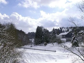 Das Tal im Winter (vom Eingang aus gesehen)