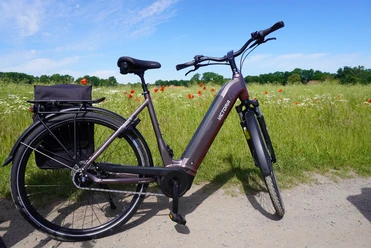 A modern e-bike stands on a country lane in front of a blooming meadow with poppies and a blue sky.
