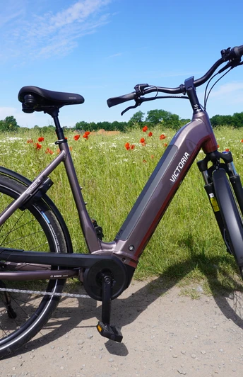 Ein modernes E-Bike steht auf einem Feldweg vor einer blühenden Wiese mit Mohnblumen und blauem Himmel.