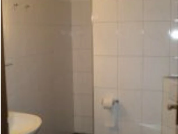 Wohnung 1 Duschbad