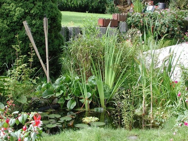 Gartenblick