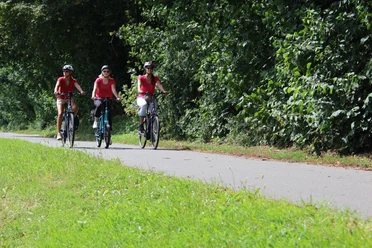 Three cyclists in red on an asphalt road, lined with green trees and meadows.