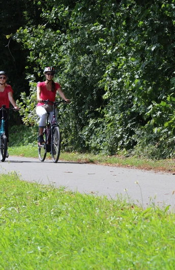 Drei Radfahrer in rot auf einem asphaltierten Weg, gesäumt von grünen Bäumen und Wiesen.