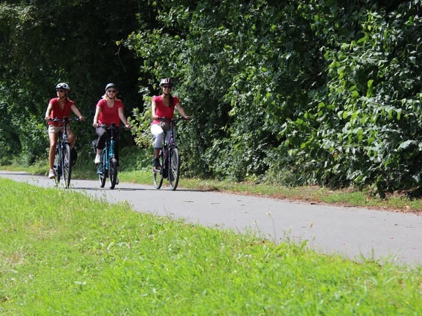 Radfahren in der Mittelweser-Region Drei Radfahrer in rot auf einem asphaltierten Weg, gesäumt von grünen Bäumen und Wiesen.