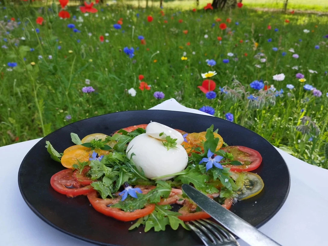 Brackstedter Mühle - Essen - Titel