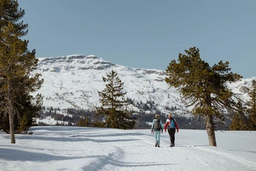 Winterwanderweg zwischen Rossweid und Salwideli in Sörenberg