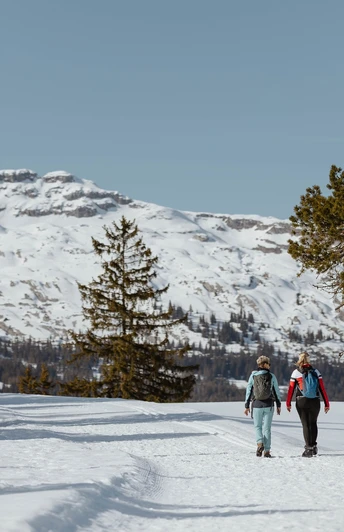 Winterwanderweg zwischen Rossweid und Salwideli in Sörenberg