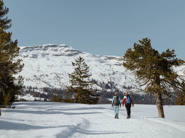 Winterwanderweg zwischen Rossweid und Salwideli in Sörenberg
