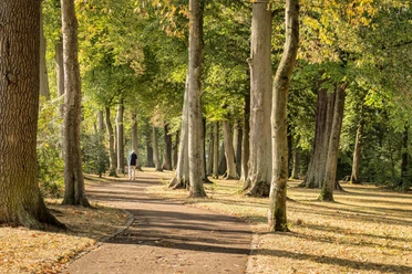 Bad Arolsen_35_Baumpark_72dpi_klein