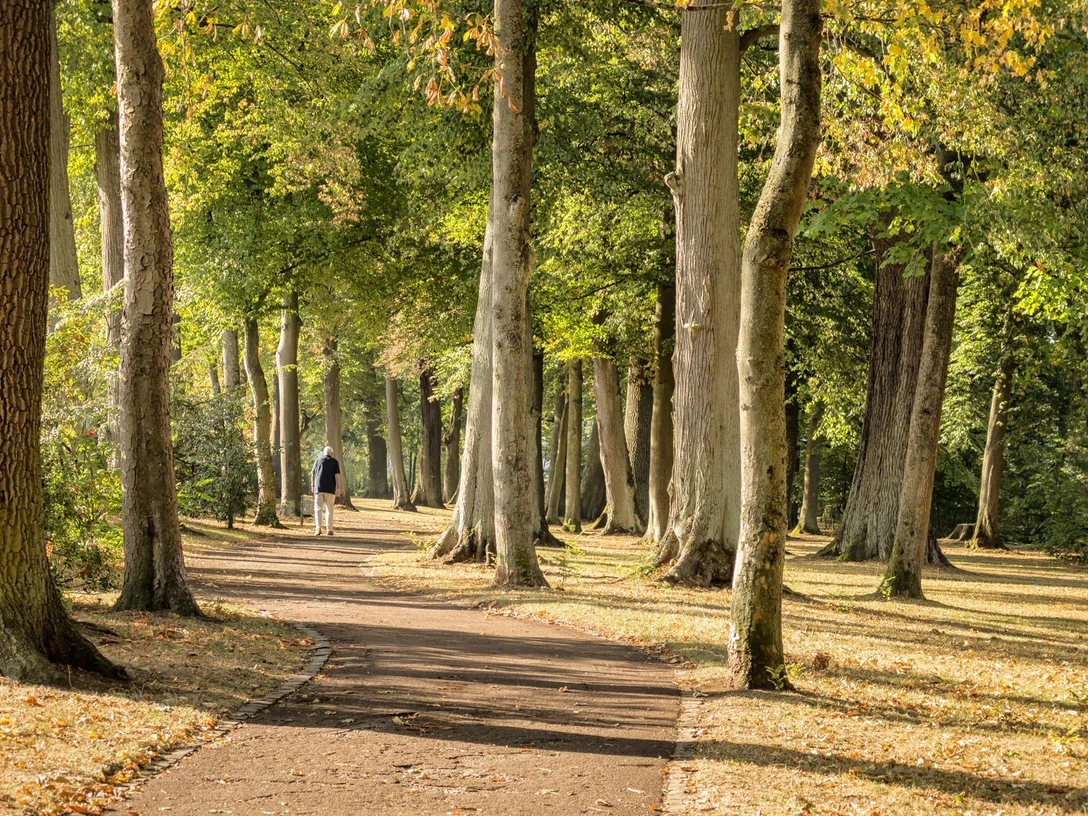 Bad Arolsen_35_Baumpark_72dpi_klein