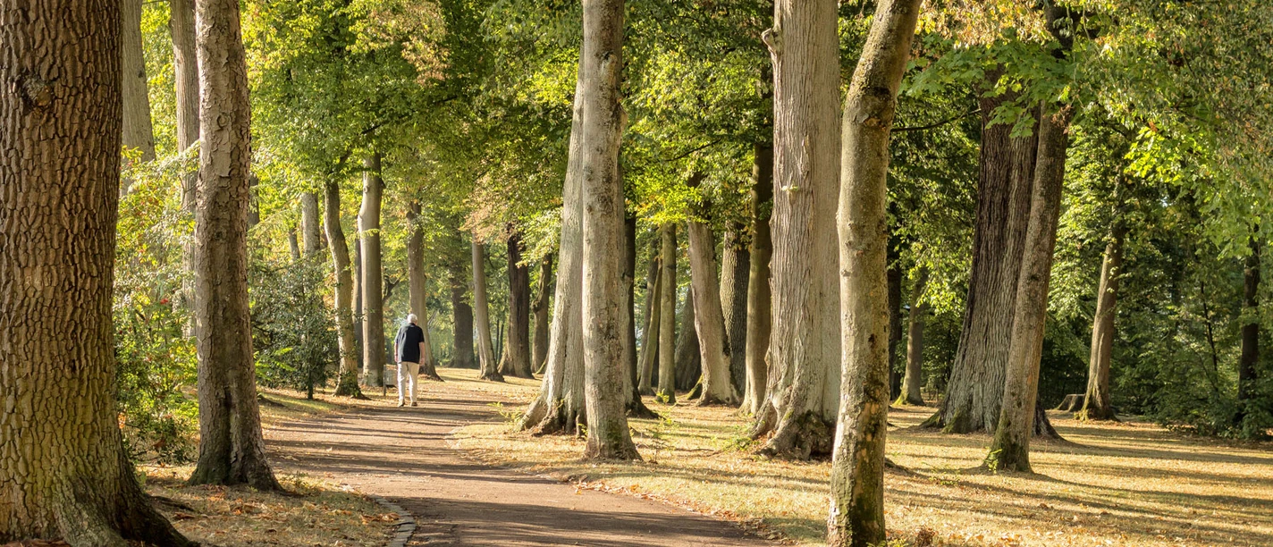 Bad Arolsen_35_Baumpark_72dpi_klein