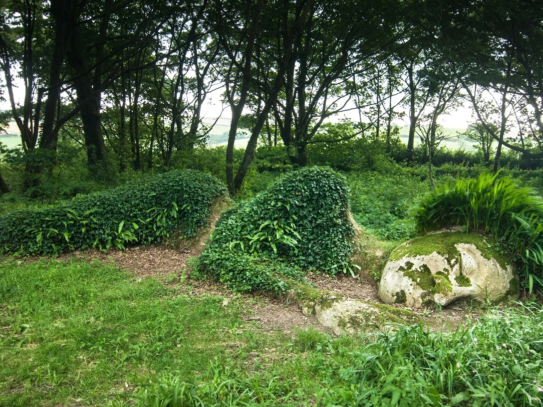 Südengland_Kal. SHS.jpg Ein von Pflanzen umwachsener Fels mit zwei hervorspringenden, grün bedeckten Hügeln in einem bewaldeten Gebiet.