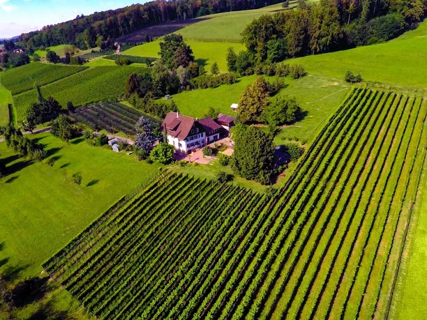 Stierlihof.jpg
