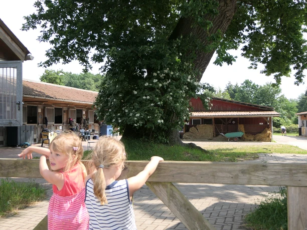 Geesthof BR Witt 7.JPG