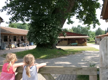 Geesthof BR Witt 6.JPG