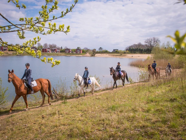 Reiter am Geestsee