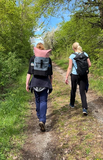 Wandern in der Mittelweser-Region Zwei Frauen mit Rucksäcken wandern auf einem grünen Waldpfad unter klarem, blauen Himmel.Two women with rucksacks are walking along a green forest path under a clear blue sky.To kvinder med rygsække går langs en grøn skovsti under en klar blå himmel.Twee vrouwen met rugzakken lopen over een groen bospad onder een strakblauwe hemel.