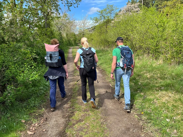 Wandern in der Mittelweser-Region Drei Personen wandern auf einem naturbelassenen Weg, umgeben von frischem Grün und blauem Himmel.