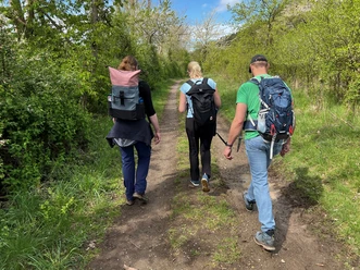 Three hikers on a natural path, surrounded by green vegetation and blue sky.