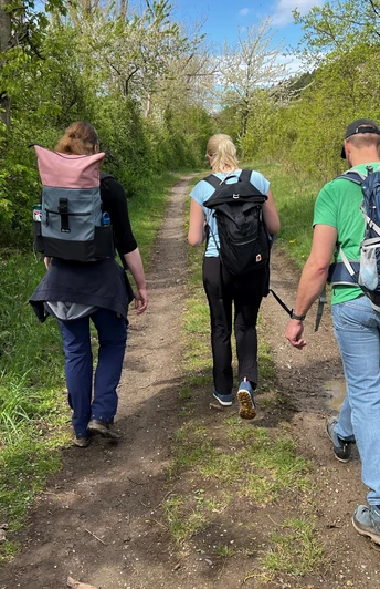Wandern in der Mittelweser-Region Drei Wanderer auf einem naturbelassenen Pfad, umgeben von grüner Vegetation und blauem Himmel.