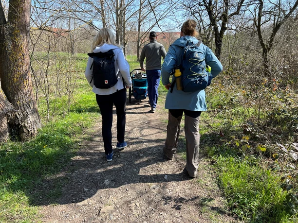 Hikers walk along a natural path through a wooded landscape in the Mittelweser region.