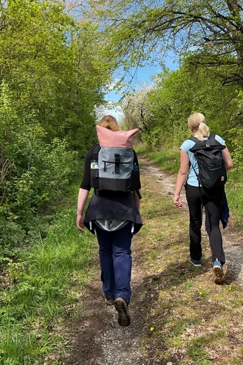 Wandern in der Mittelweser-Region Zwei Wanderinnen mit Rucksäcken auf einem Pfad durch eine grüne, dichte Waldlandschaft.