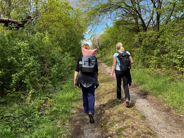 Wandern in der Mittelweser-Region Zwei Wanderinnen mit Rucksäcken auf einem Pfad durch eine grüne, dichte Waldlandschaft.