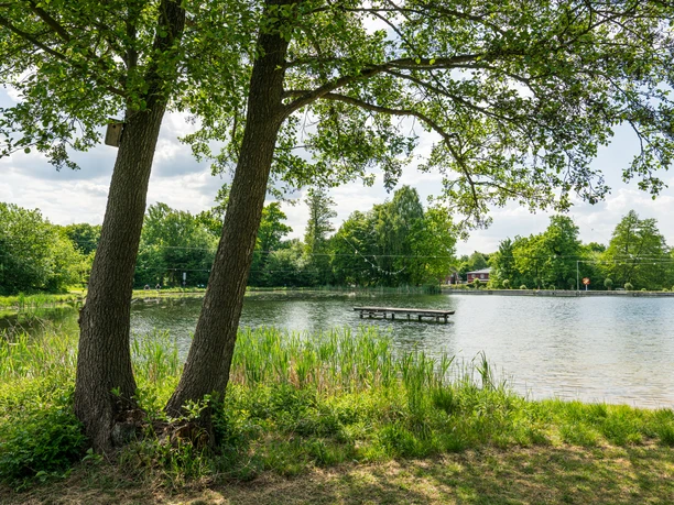 Badeteich Ramelsloh