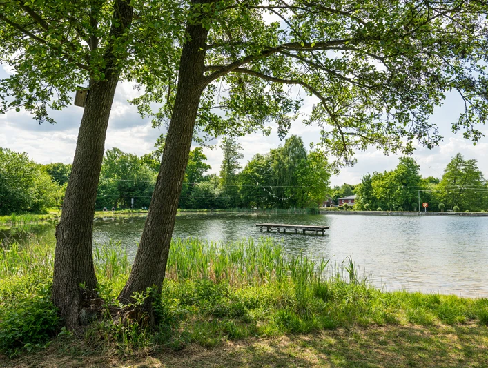 Badeteich Ramelsloh