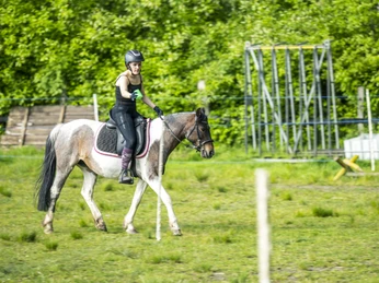 Ponyclub Ohlendorf Jugendfarm e.V. Trainierende Reiterin beim Ponyclub Ohlendorf Jugendfarm e.V.