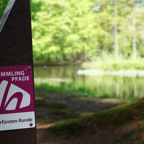 Hümmling-Pfade Kurfürsten-Runde – Schnappschuss Clemenswerth ©Emsland Tourismus GmbH (2).jpg