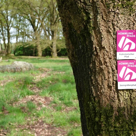 Hümmling-Pfade Kurfürsten-Runde – Schnappschuss Clemenswerth ©Emsland Tourismus GmbH (3).jpg