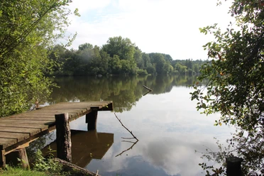POI_0_Hücker Moor.JPG Holzsteg am Ufer eines ruhigen Sees, umgeben von üppigem Grün und Bäumen. Friedliche Atmosphäre.