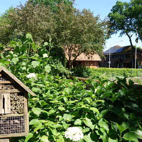 Bauerngarten Rühle in Meppen ©Emsland Tourismus GmbH (9).jpg