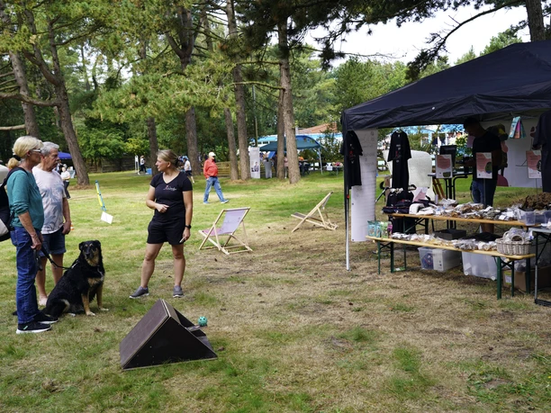 Hundebadetag-Nordseeheilbad-Cuxhaven-2024-3-bearbeitet.jpg