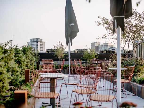 Green rooftop terrace with empty chairs in daylight