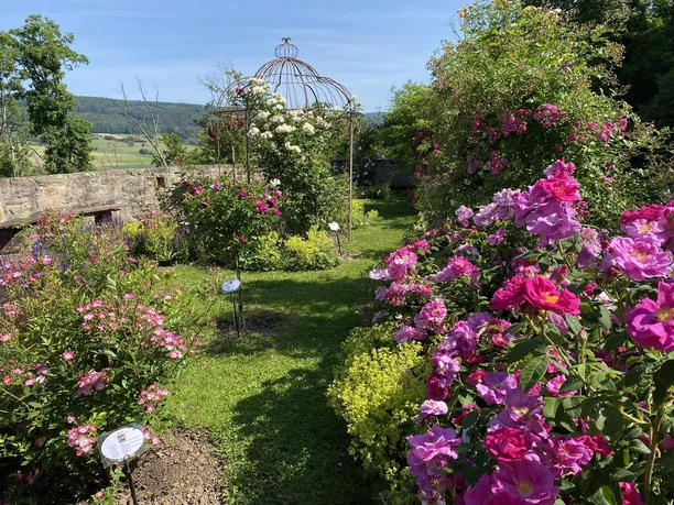 Rosengarten Schloss Spangenberg