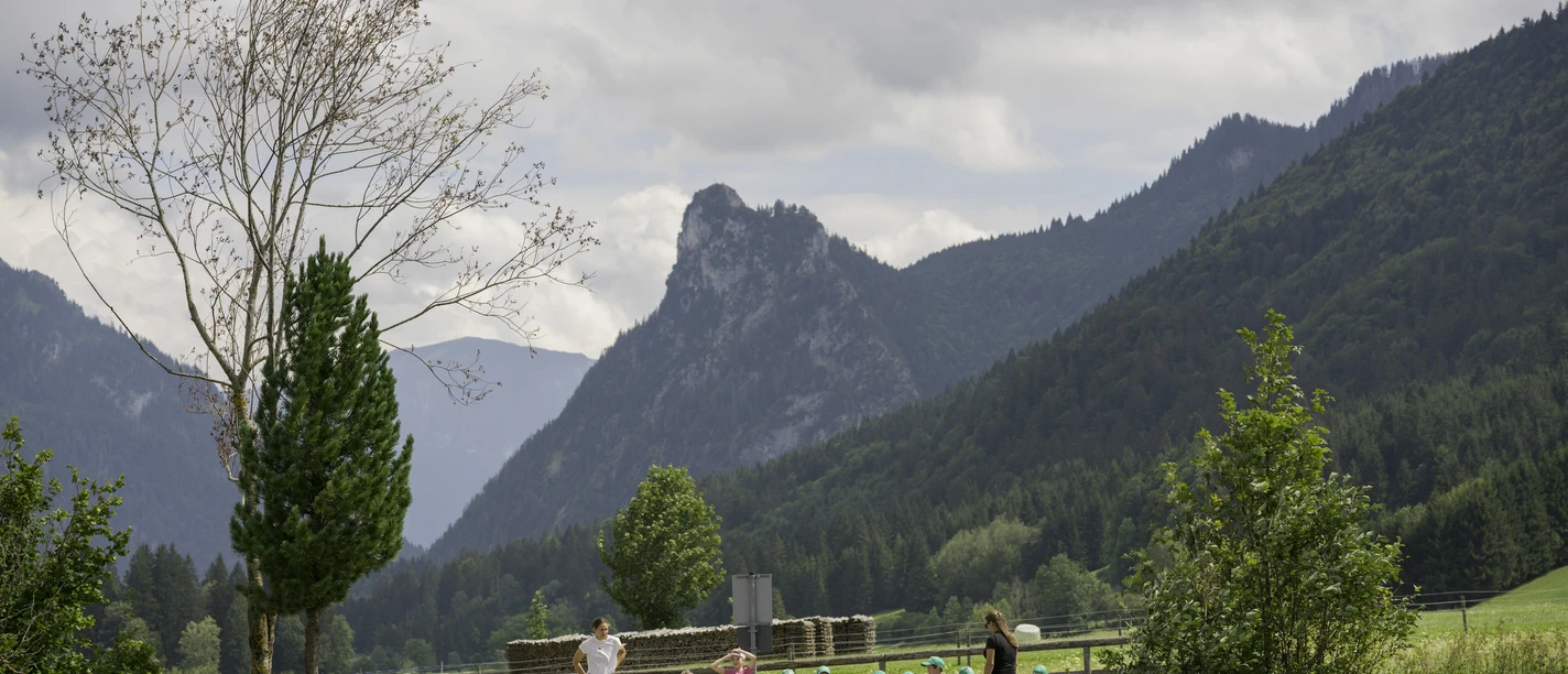 Junior Ranger auf Entdeckungstour